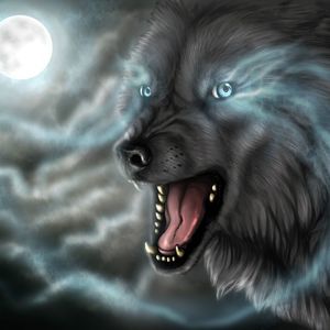 Meet your Posher, Tom